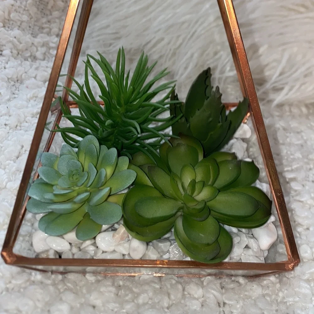 New succulent glass dome decor